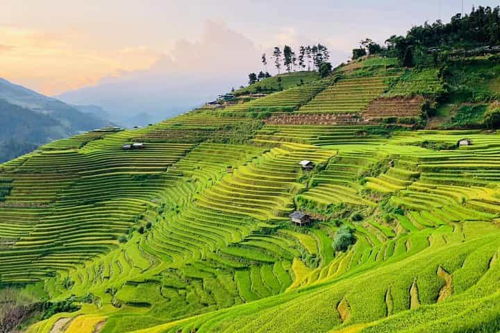 Discover the Beauty of Sa Pa: A One-Day Trek