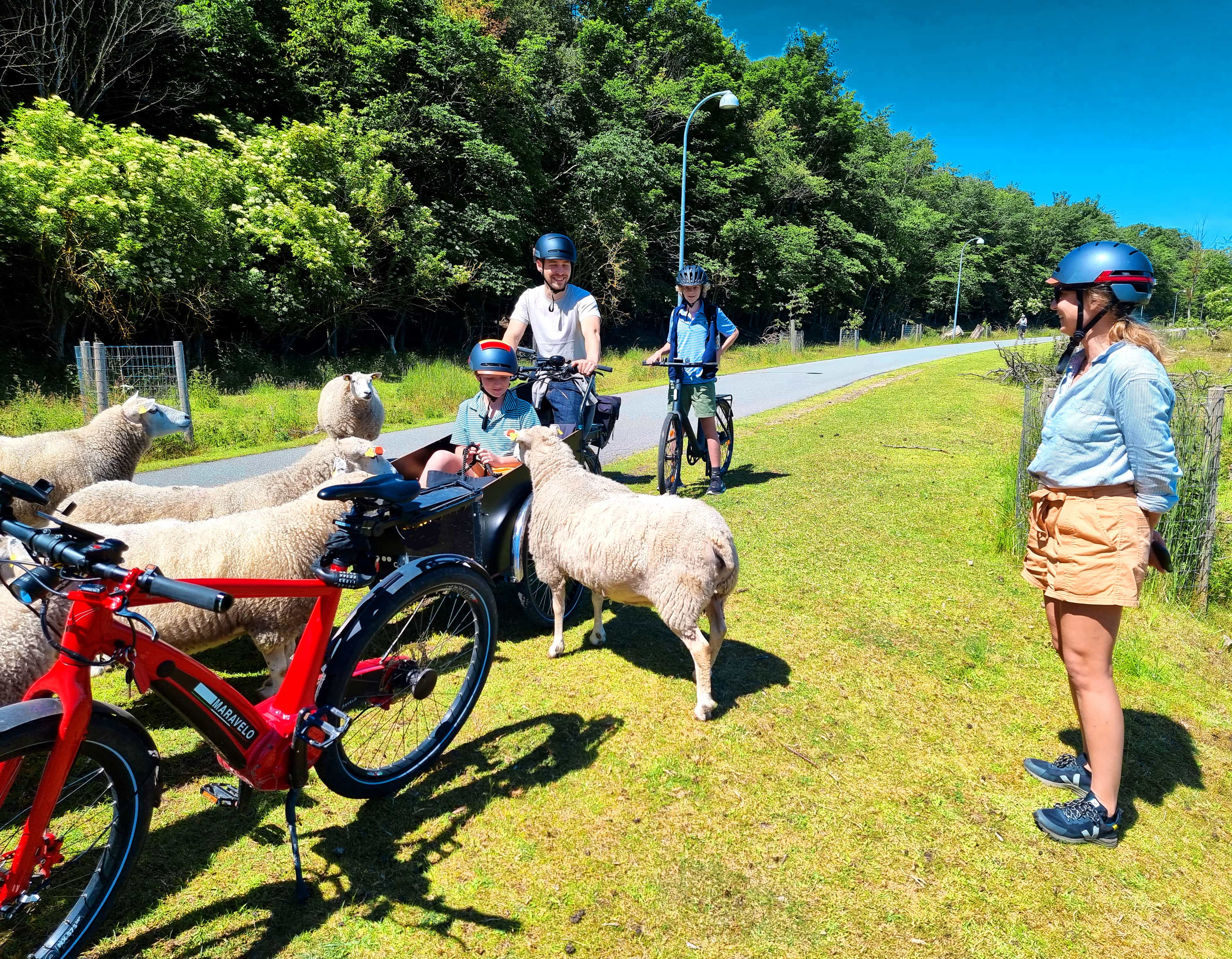 E-adventures Northern Forgotten Giants