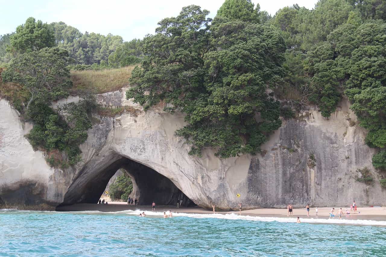 The most comprehensive all-inclusive Coromandel Peninsula tour over two days