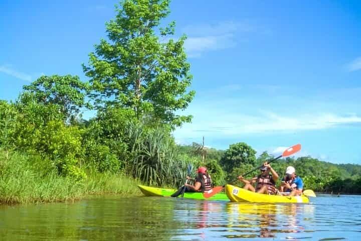 4-Hour Private Kayaking Experience in Galle