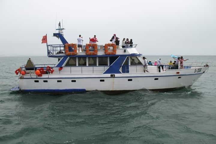 Boat Tours in Agadir lunch including ( sea food )