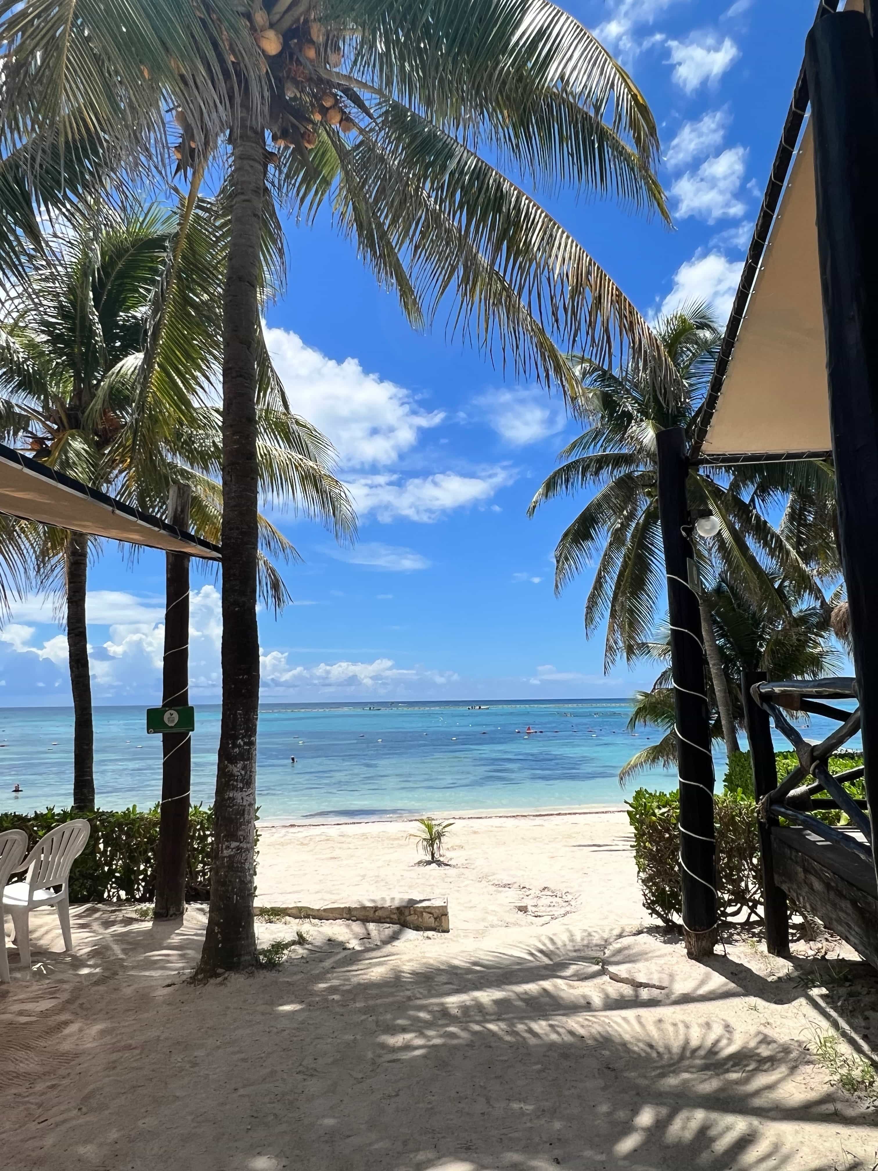 Akumal turtle snorkeling, 3 private cenotes & gourmet dining