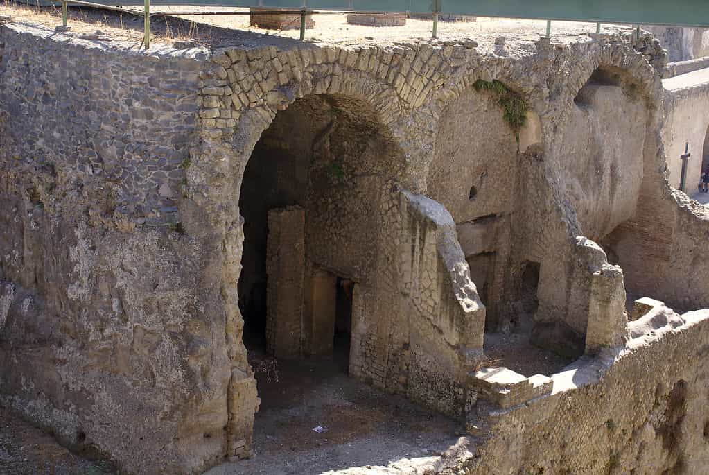 Heclulaneum daily tour