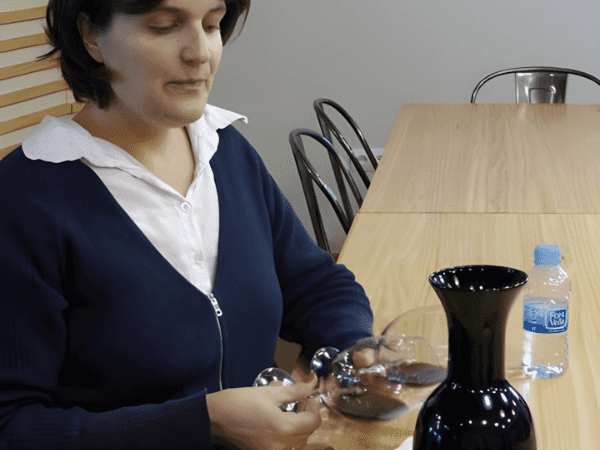 Private Day Trip to  Rioja Alavesa Wine Region from Bilbao