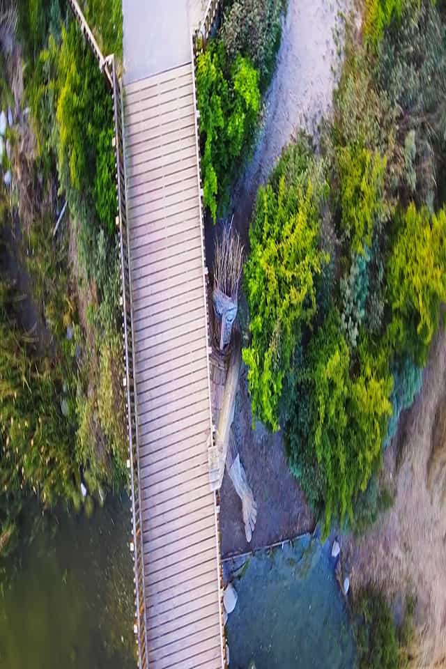 E-adventures Southern Forgotten Giants