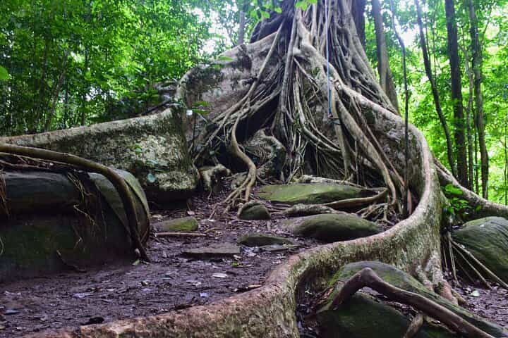 2 Days Wilds Khao Yai Trek and Wine Tour