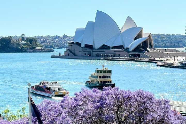 Sydney Gems Private Tour & Pick up & Drop off