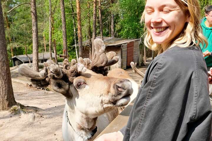 PRIVATE Authentic Reindeer Experience Helsinki 