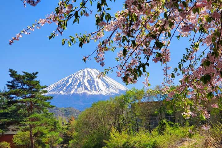 Tokyo to Mt. Fuji Customizable Private Tour