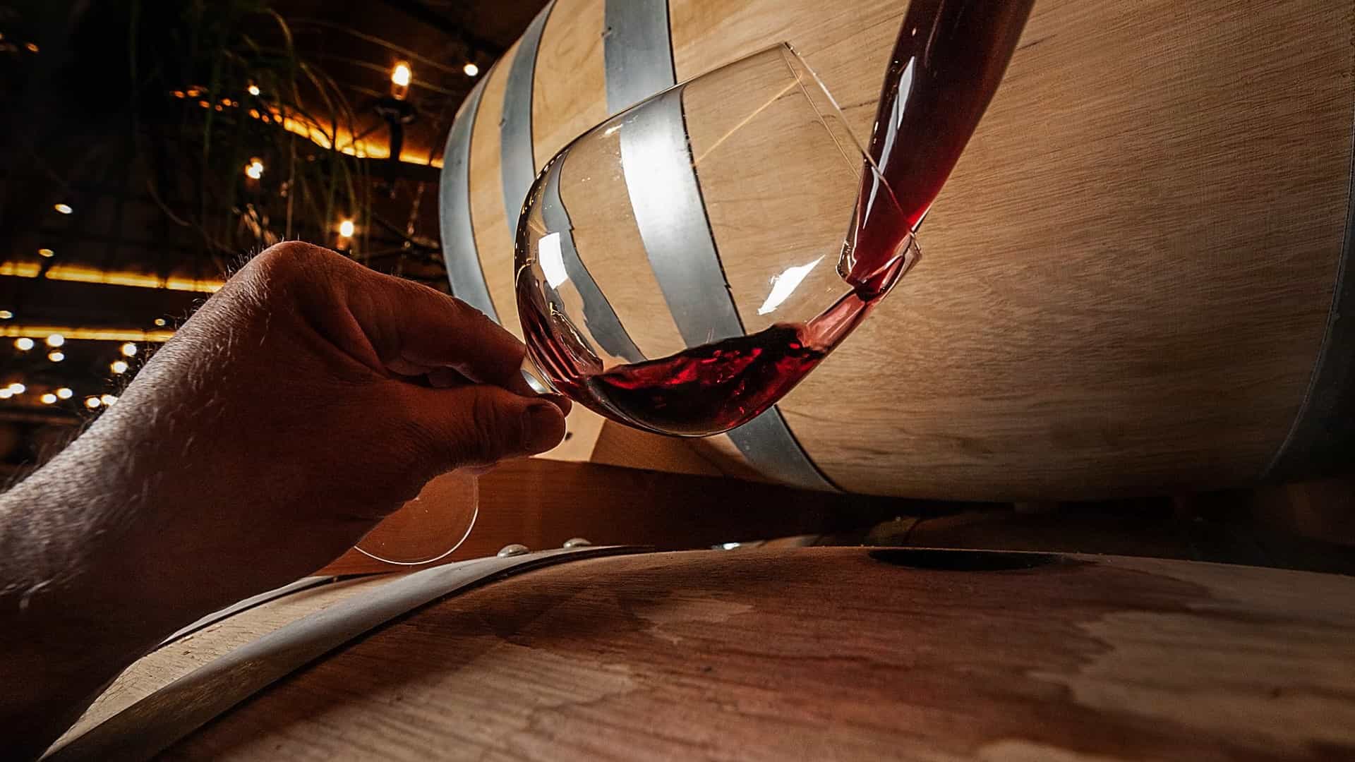 Wine Tasting straight from the barrel in San Gimignano countryside