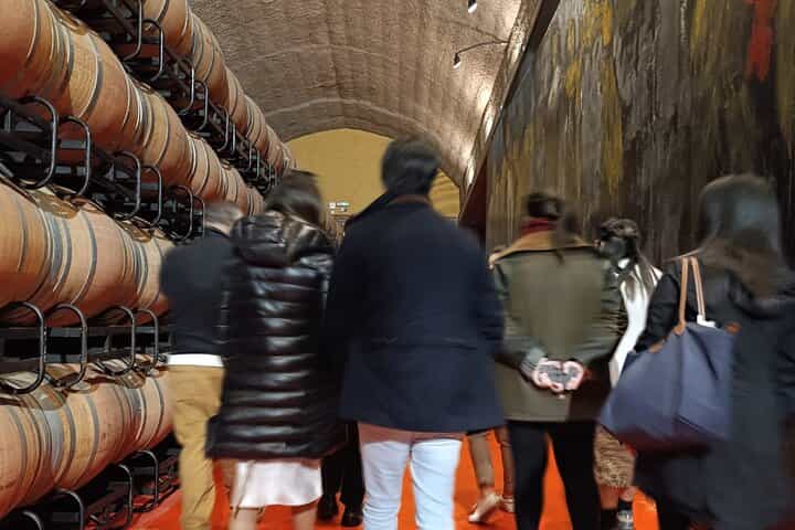 Rioja Day Tour: Explore Three Wineries with Tastings