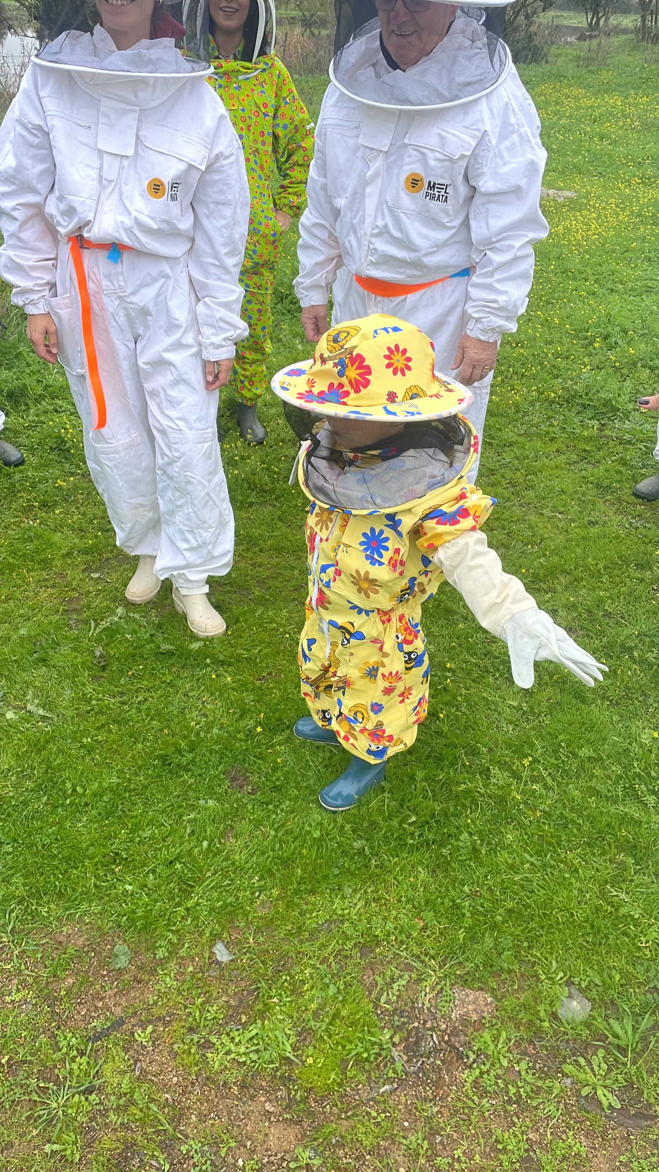  Évora or Montemor-o-Novo: Guided tour of the hives and honey tasting