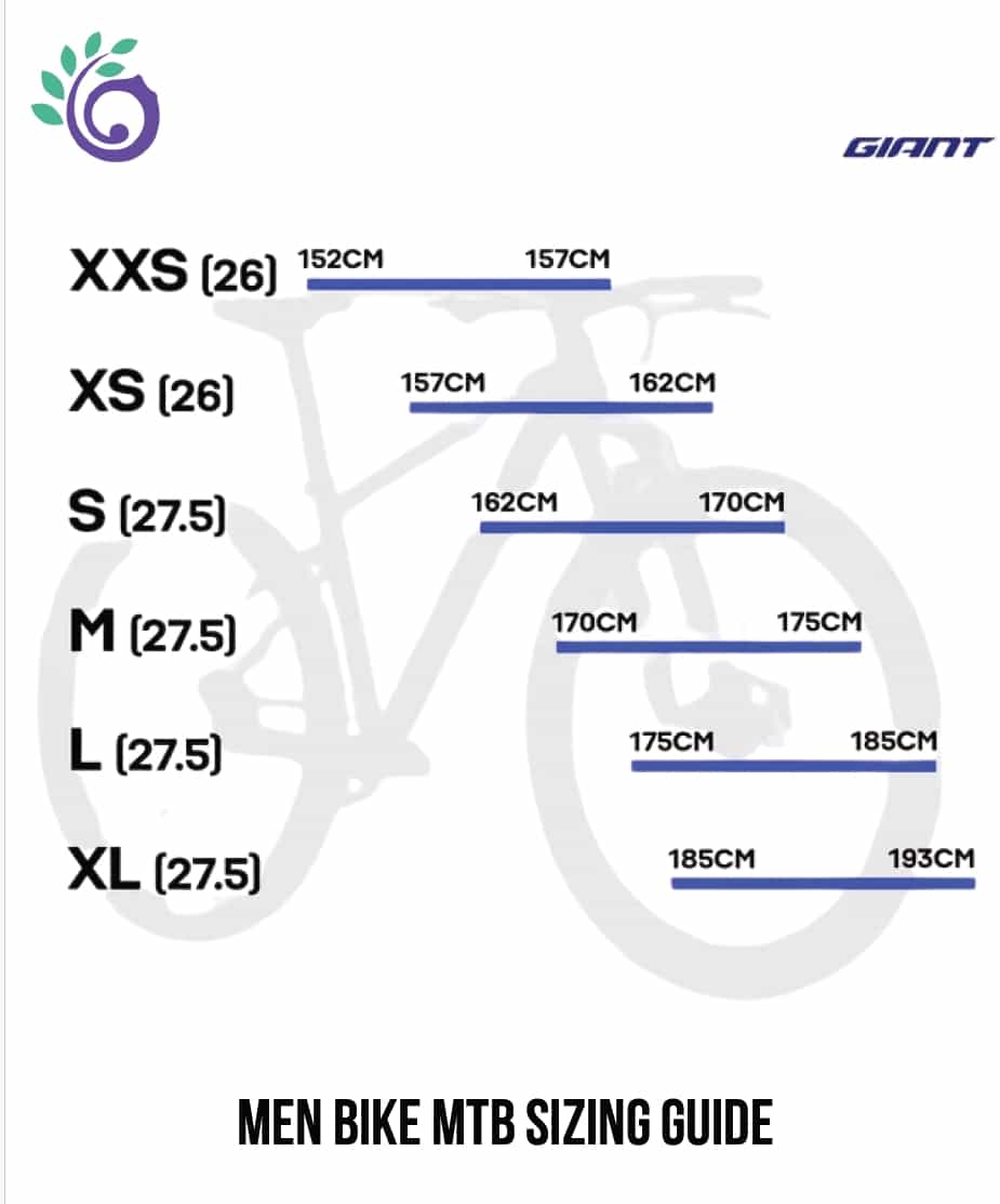Bike Rental 4 hours