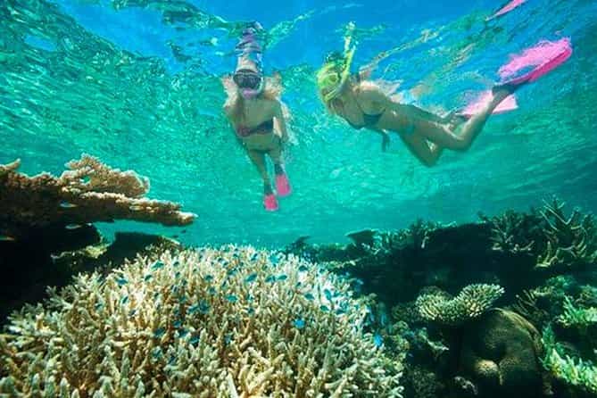 Catamaran Snorkel including Shipwreck and Starfish with Transfer