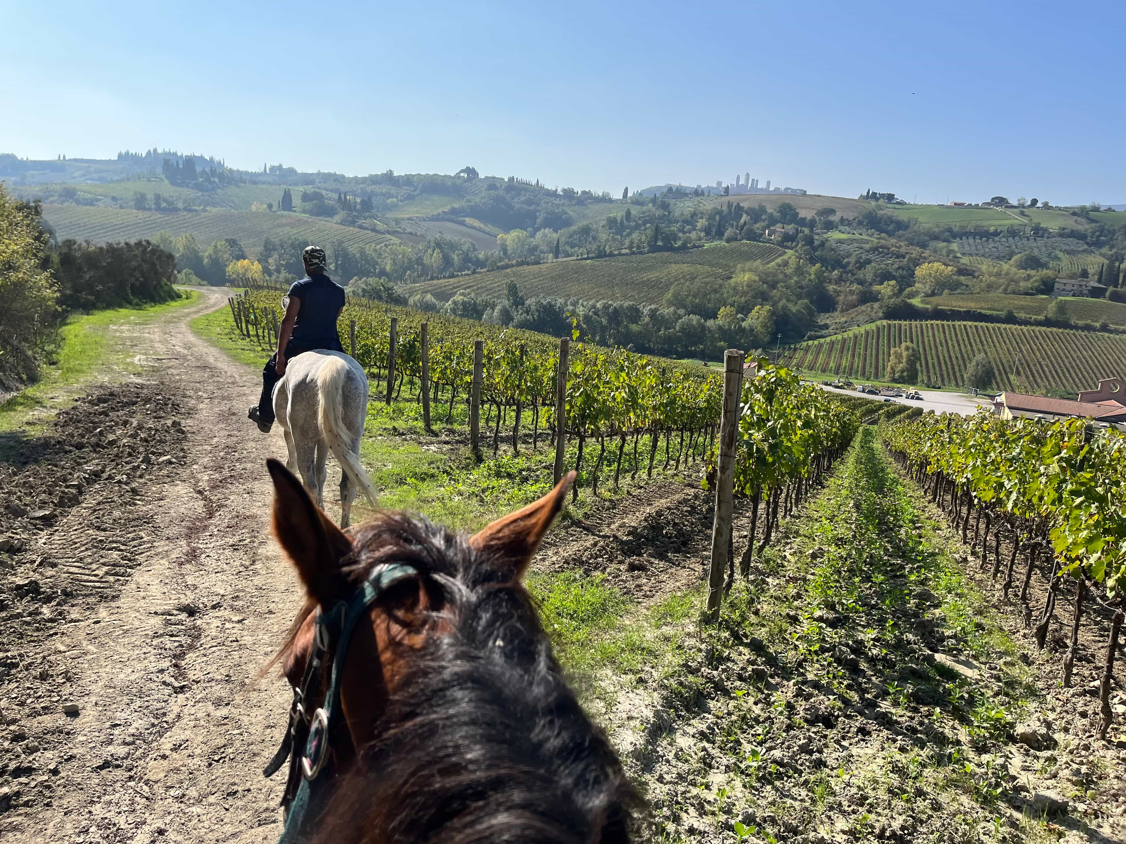 Small-Group Tuscany Horseback Riding & Winery Tour with Lunch and Wine Tasting