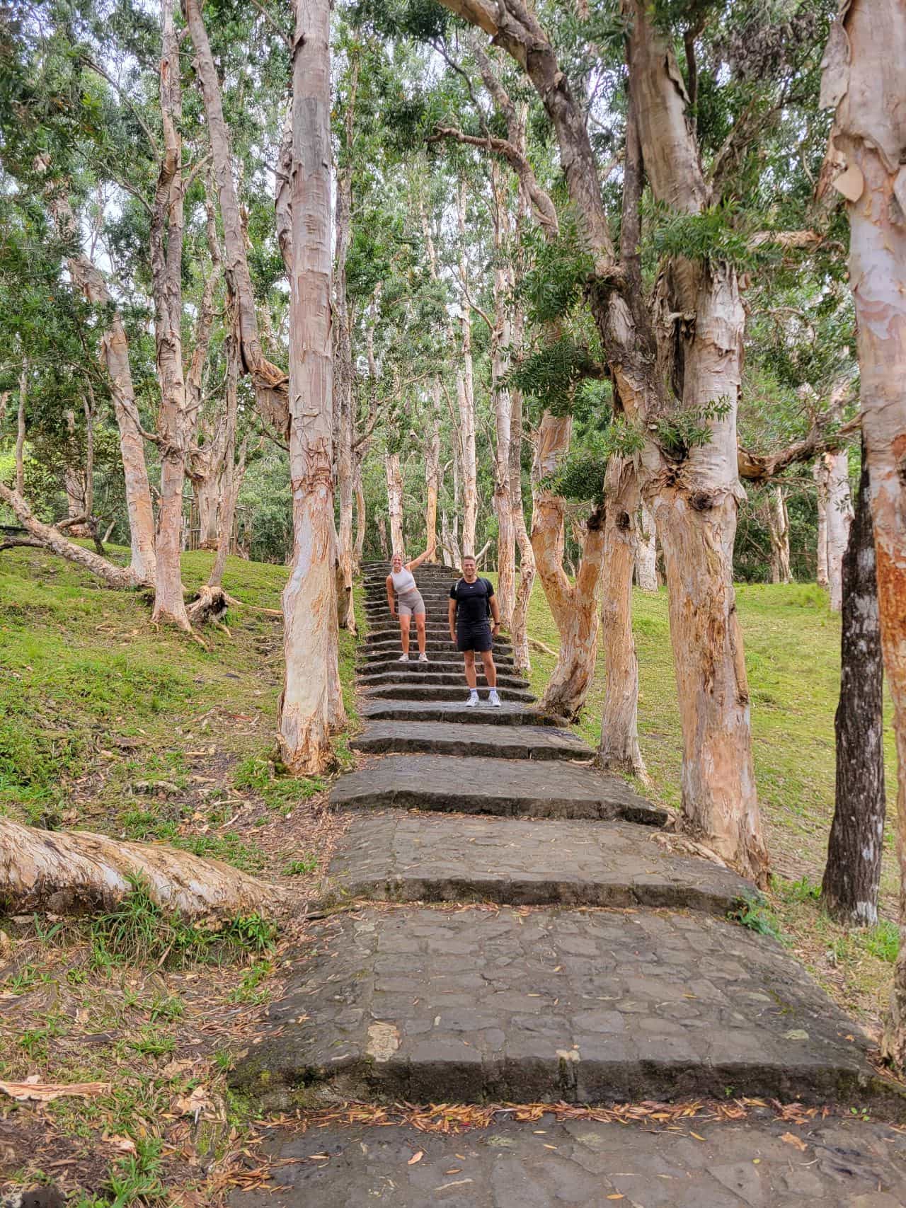 Alexandra Falls – Base Hike
