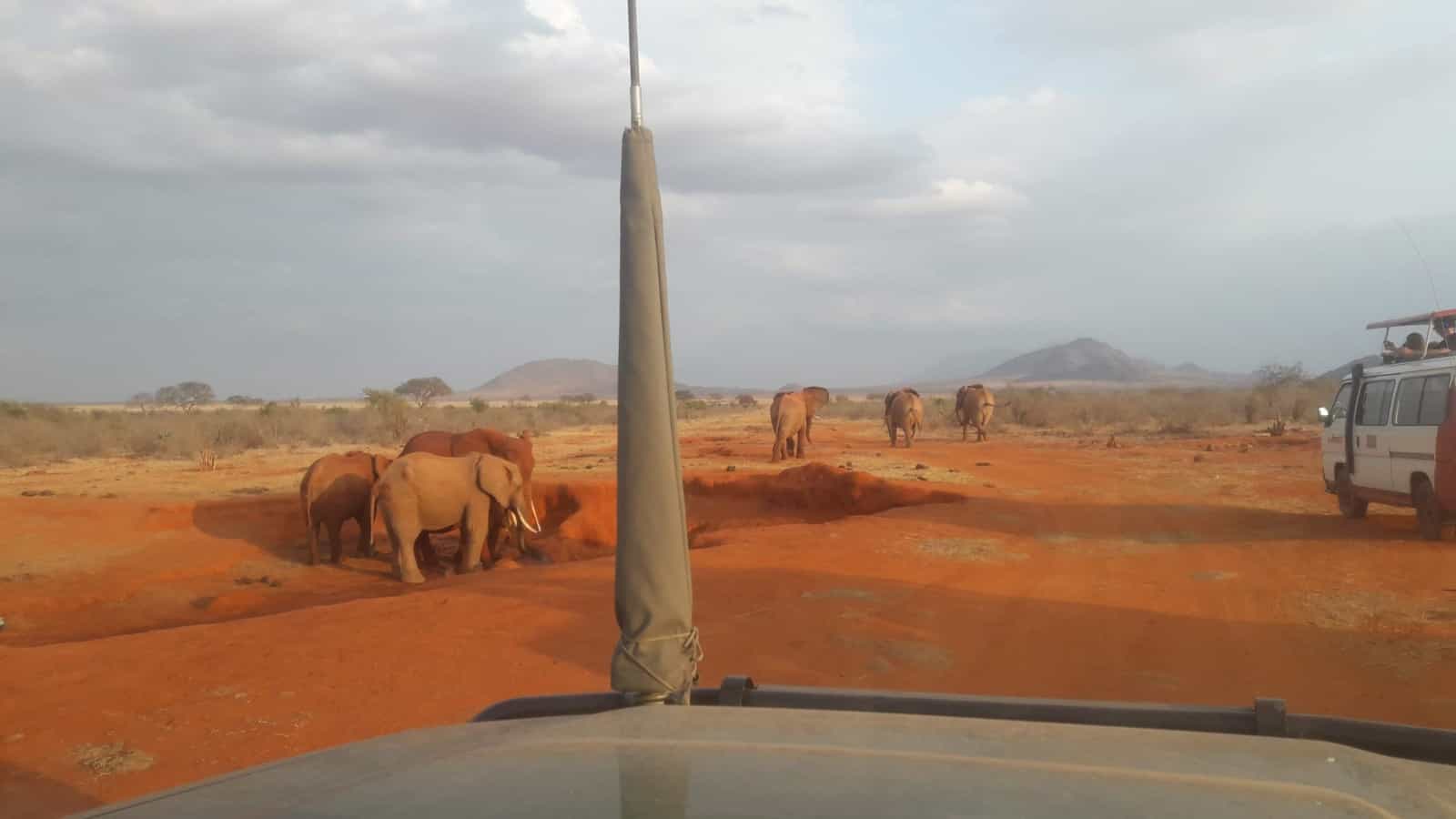 The Red Elephant Express Safari - 3-Day Tsavo & Salt Lick Luxury Safari