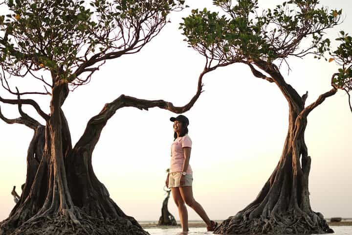 West Sumba & East Sumba:Private Tour 4Days 3 Night start from Tambolaka airport 