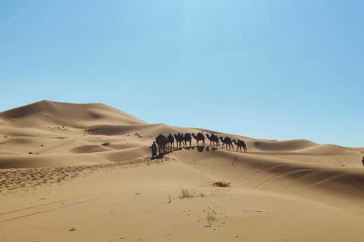 Private 2 Days Trip from Errachidia to Fes via Merzouga desert