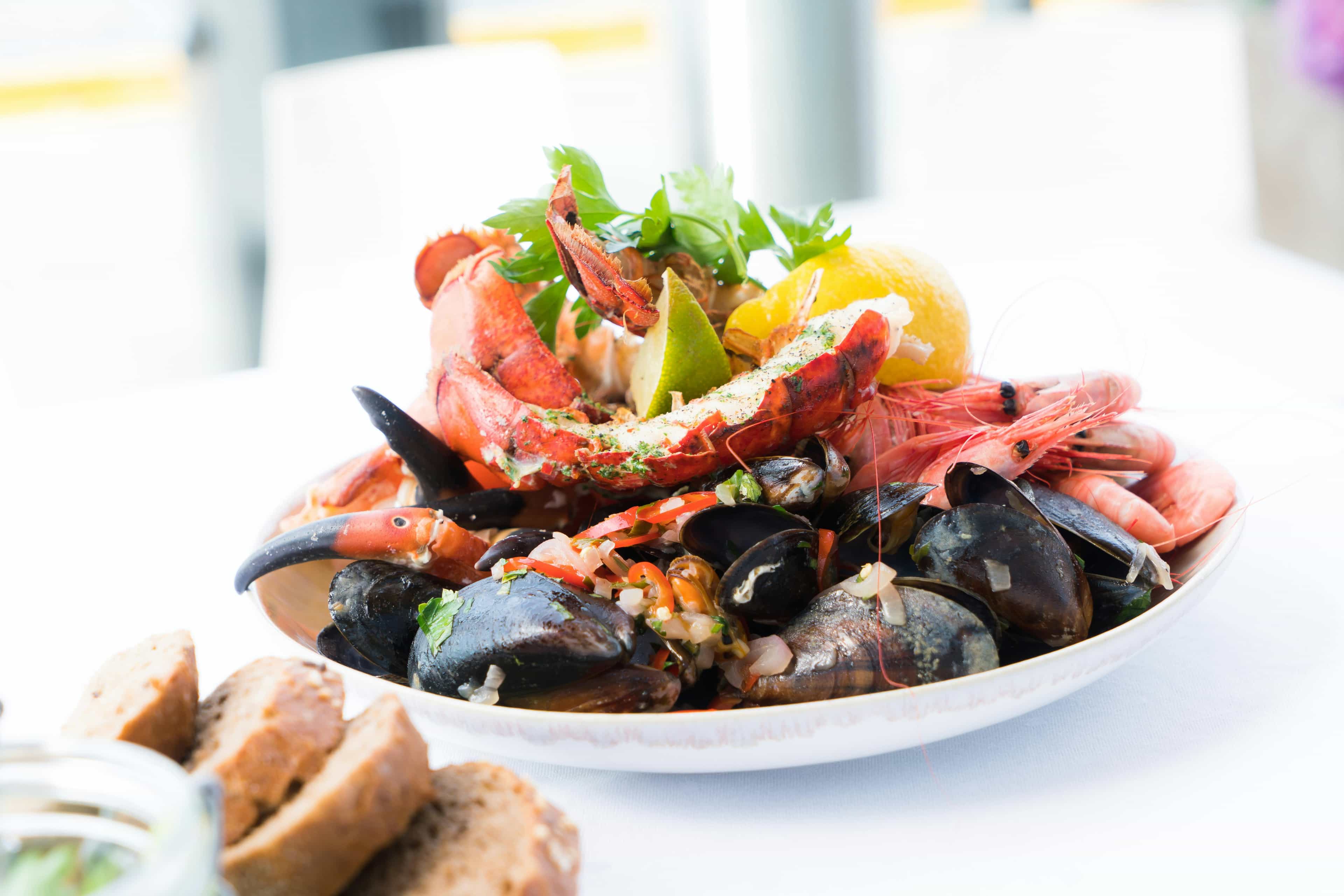 Lobster Safari & Seafood Culinary
