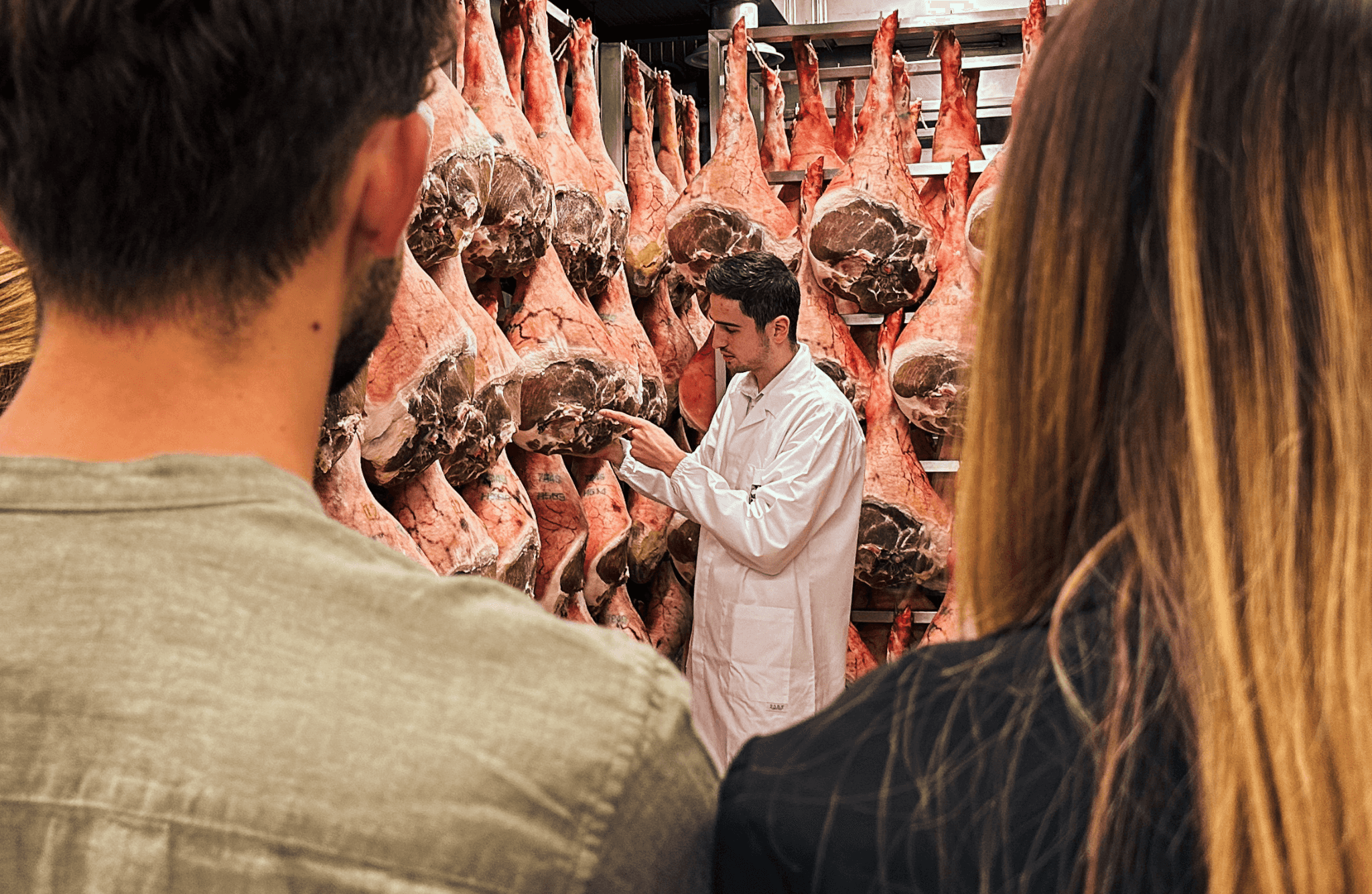 Prosciutto Ham Factory Visit & Lunch Tasting near Udine