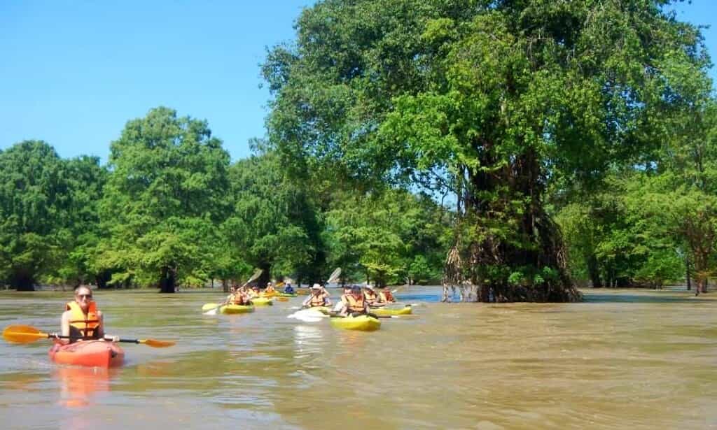 Irrawaddy Dolphin Kayaking: Visit Kratie from Phnom Penh - 3 DAY TOUR