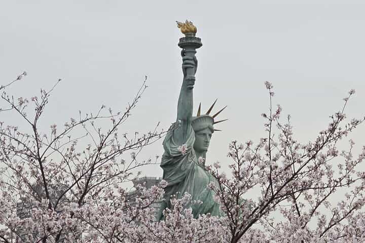 Customizable Private Tokyo Trip with an English Speaking Driver