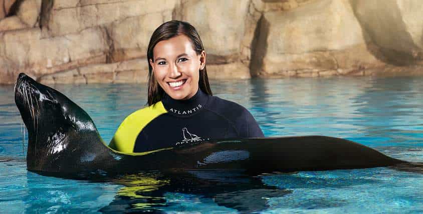 Sea Lion Discovery