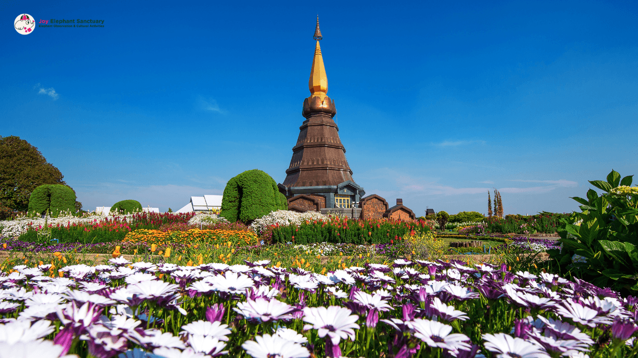 Chiang Mai to Doi Inthanon Guided Nature Trail and Elephant Tour