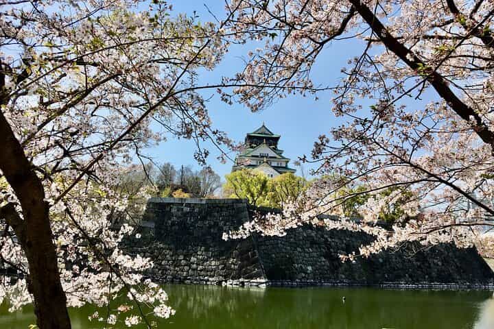 Half-Day Private Guided Tour to Osaka Castle

