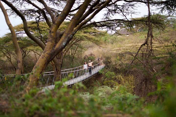 3-Day Nairobi National Park Safari