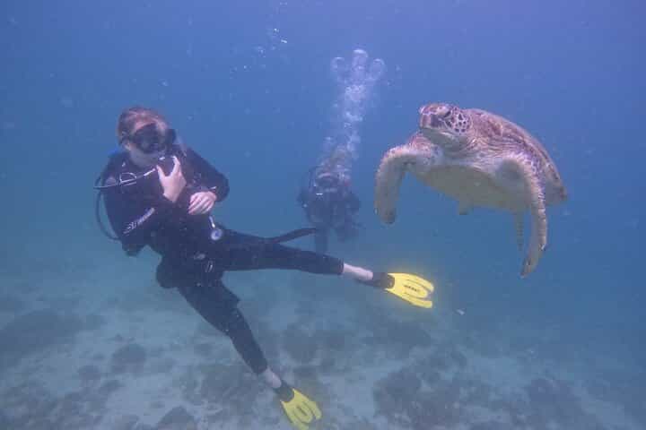 From Dubai: Dive and Stay 5-Dives Trip with Transfers