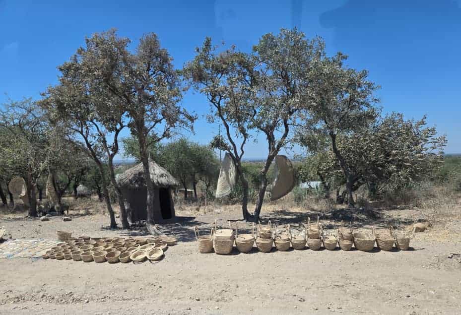 6 Days 5 Nights The Big 5 Adventure Safari In Tanzania