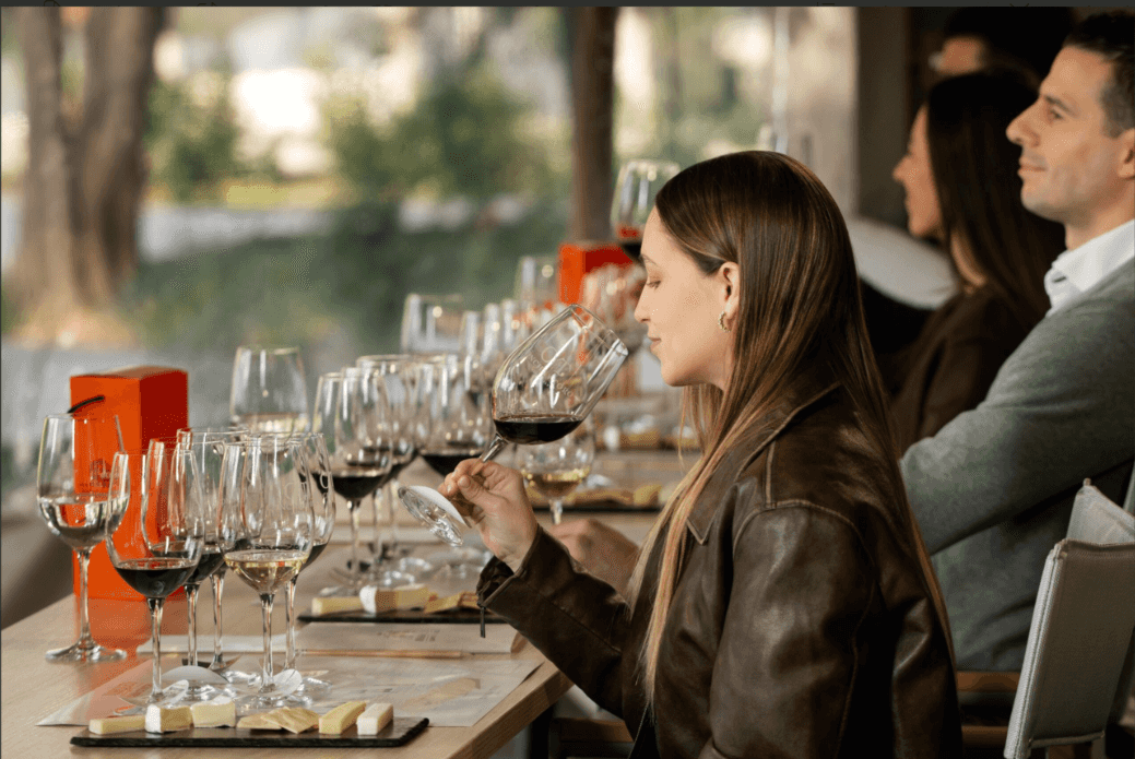 Visita Guiada Standard + Tasting Marqués de Casa Concha