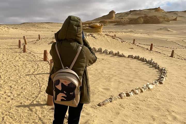 All inclusive Fayoum (tickets-car-guide-lunch-safari-sand.board)