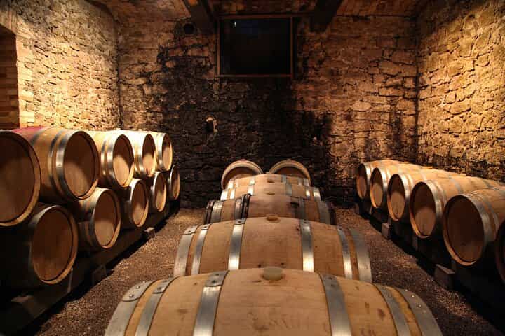 Tuscan Cooking Class and Wine Tasting from Rome