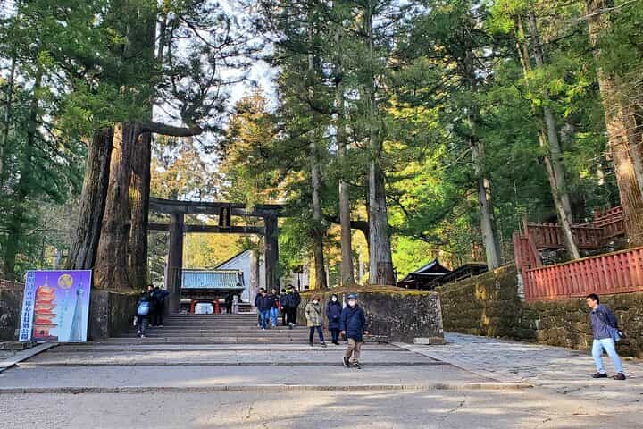 Tokyo to Nikko English Guided Private Tour 