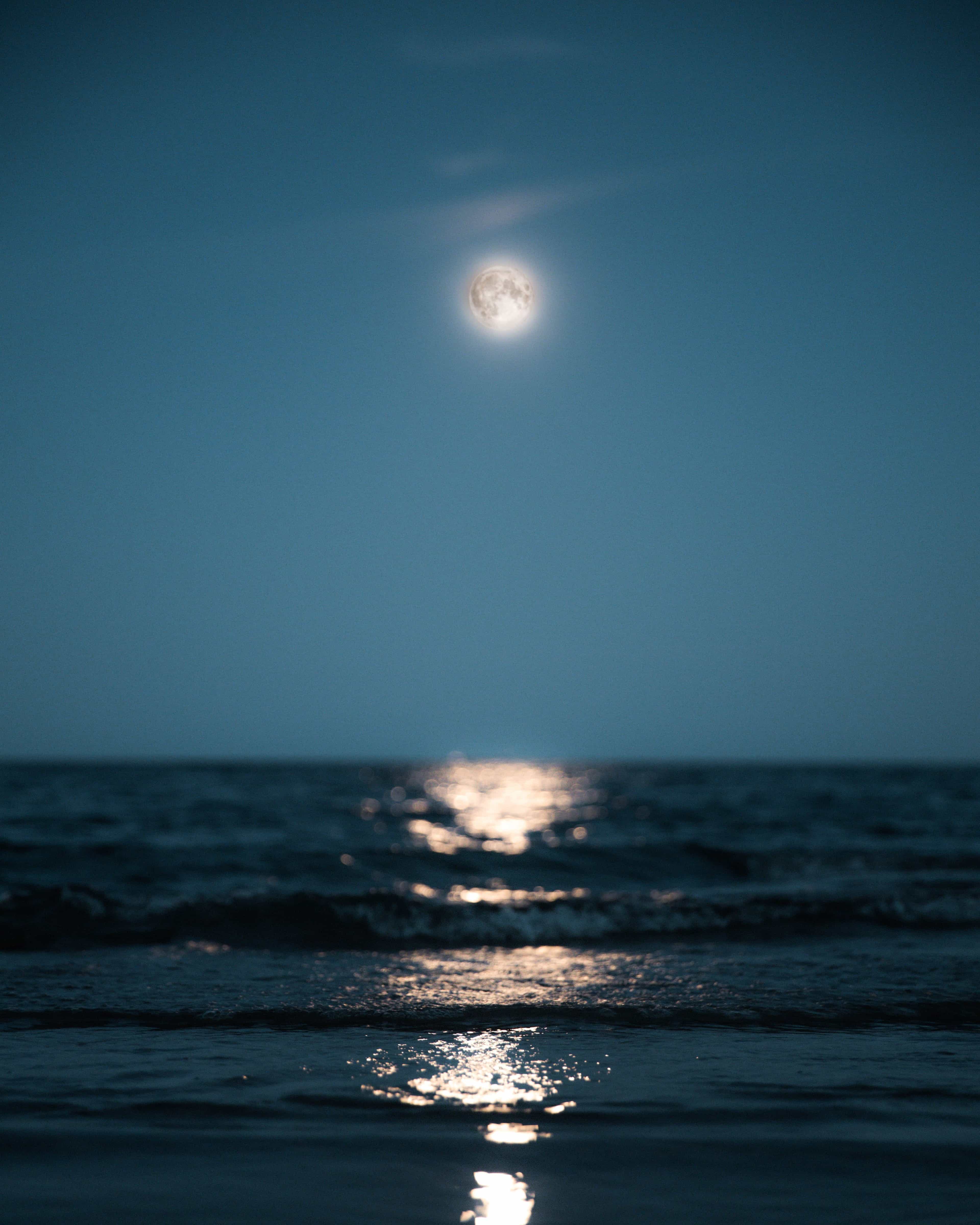 2.5-Hour Night Sailing Under the Full Moon in Sotogrande
