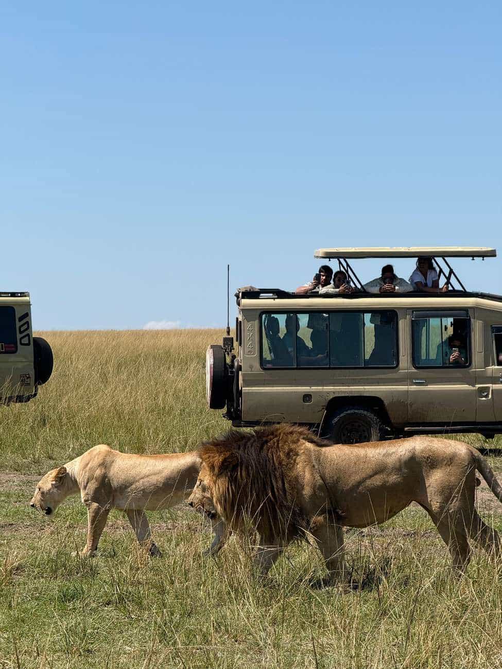 7 Days 6 Nights Maasai Mara, Lake Nakuru, Lake Naivasha and Amboseli Luxury Safari