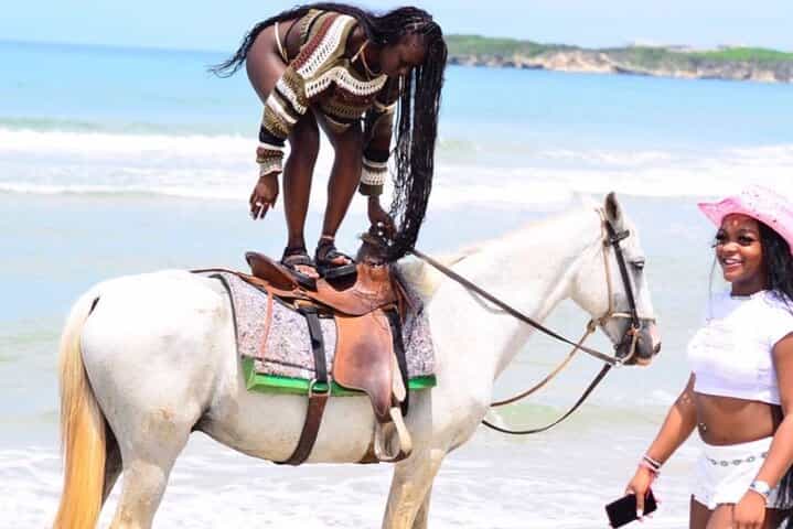 Horseback Riding on the Beaches Fields and Forests of Punta Cana