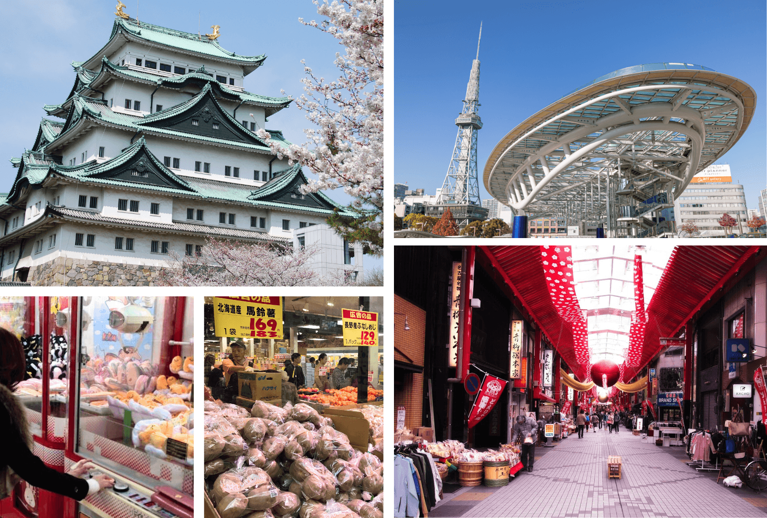 【Small Group】Best of Nagoya | Samurai, Castles & City Life Tour