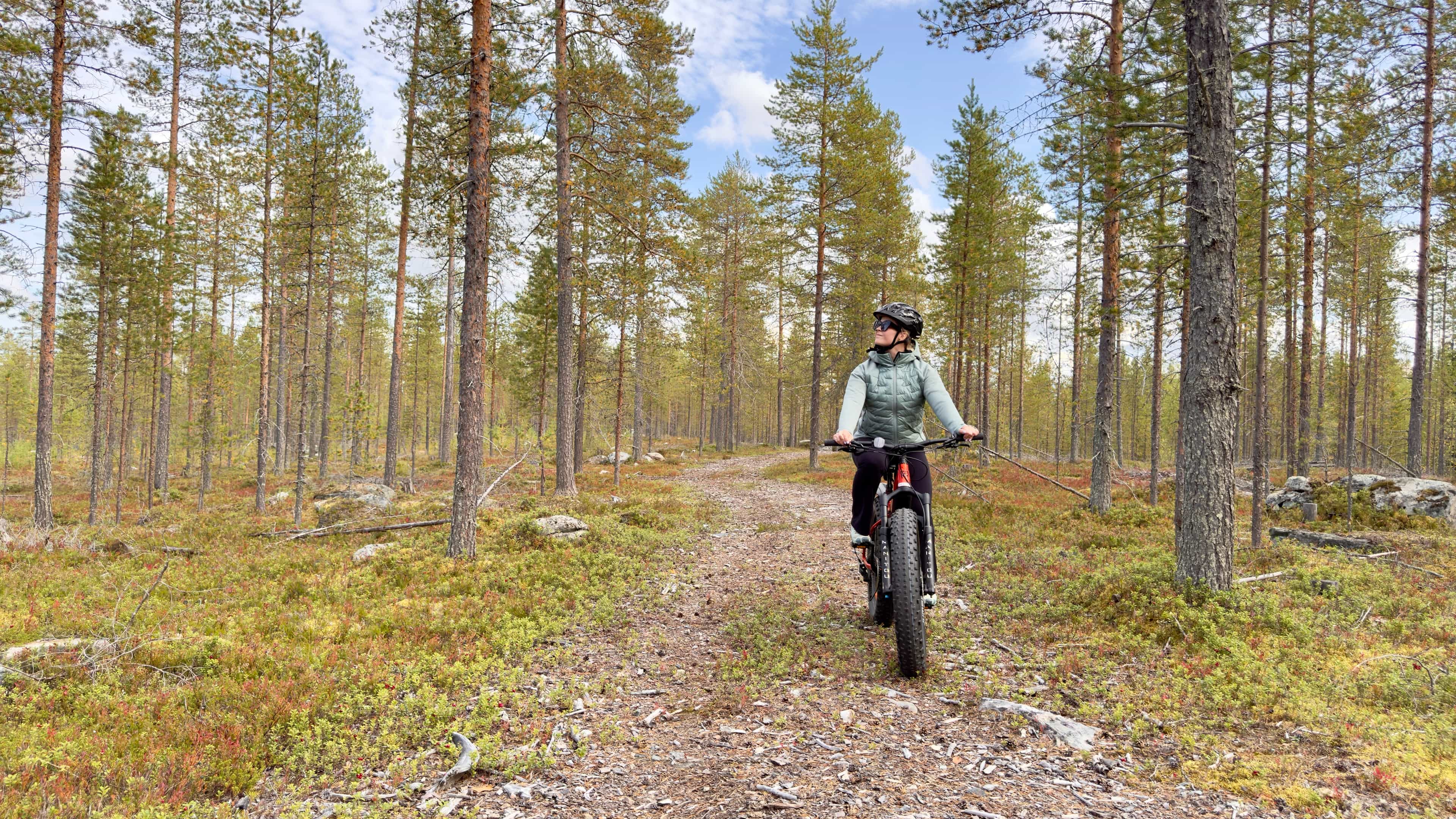 Electric Fat Biking at a Reindeer Farm in Rovaniemi
