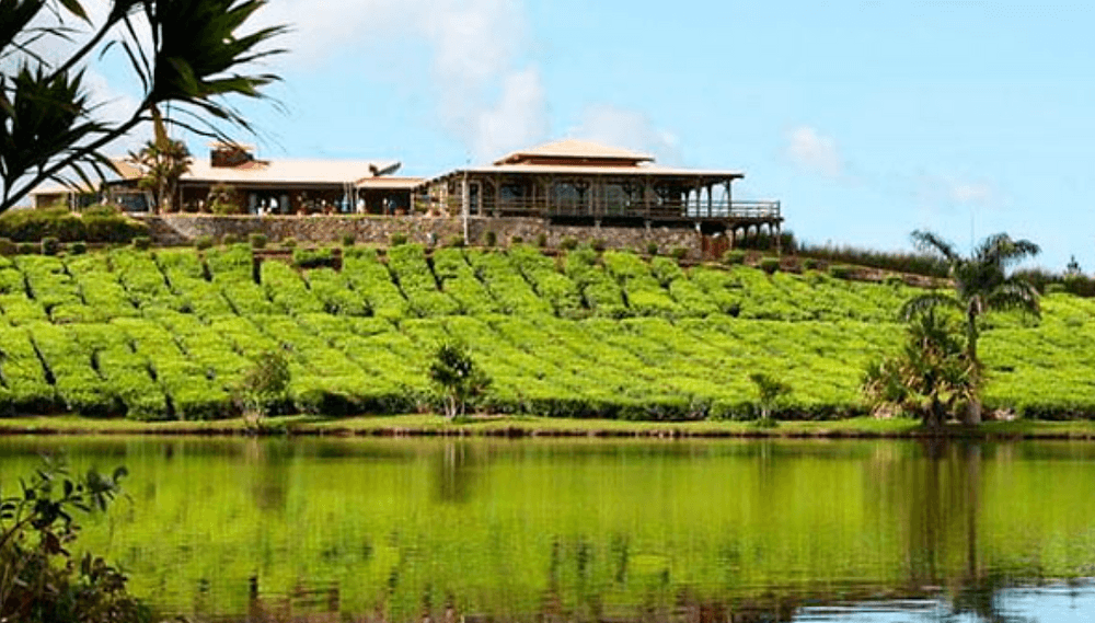 Scenic South Mauritius Tour