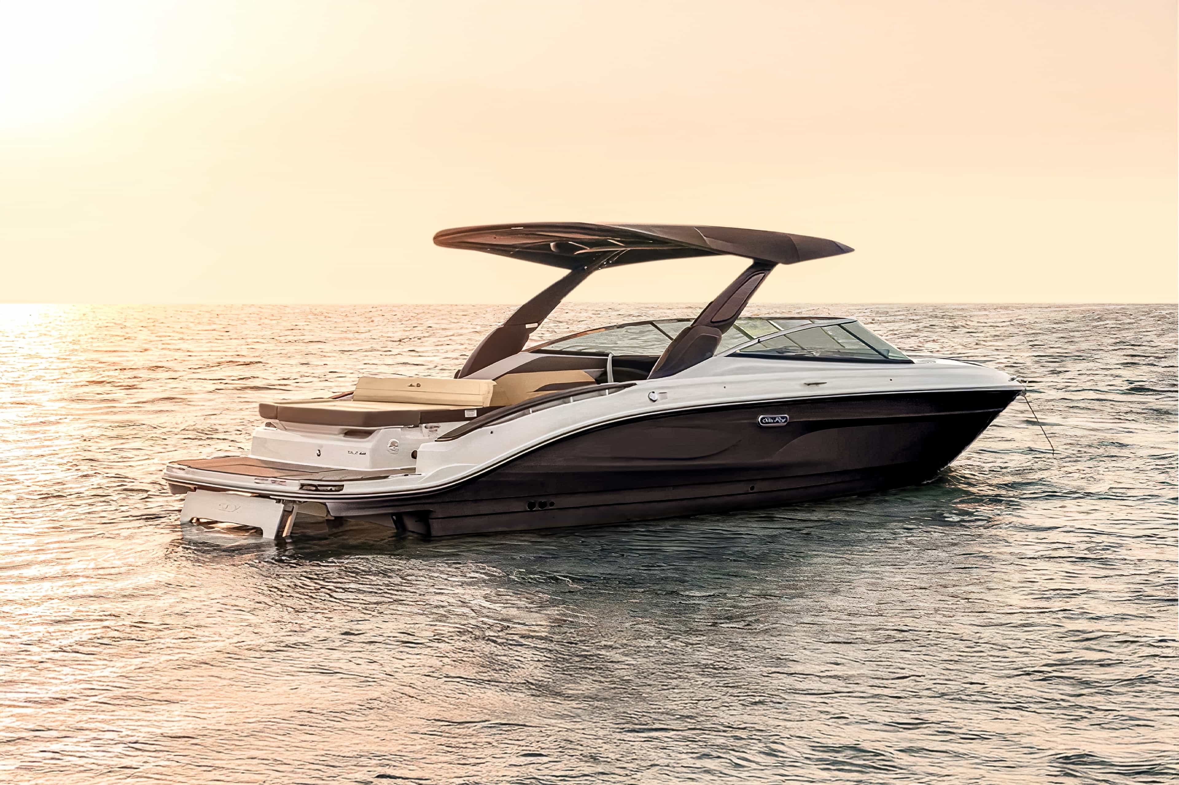 ❖ Sea Ray SDX | Private