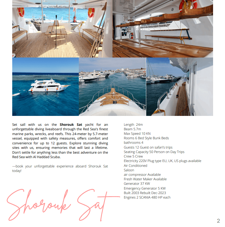 Jeddah Weekend Safari