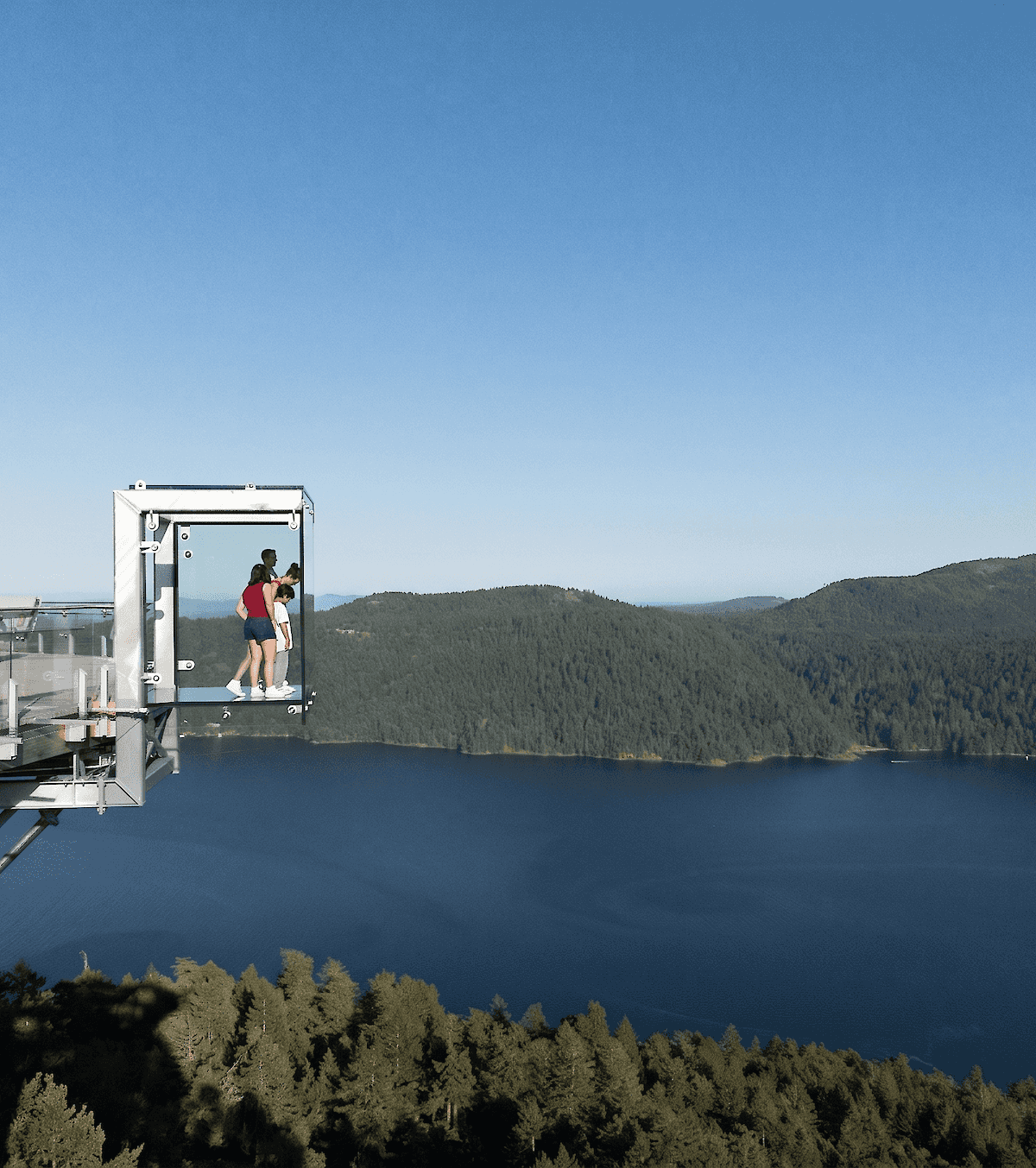4hr Malahat Skywalk & Victoria Iconic Landmarks Tour