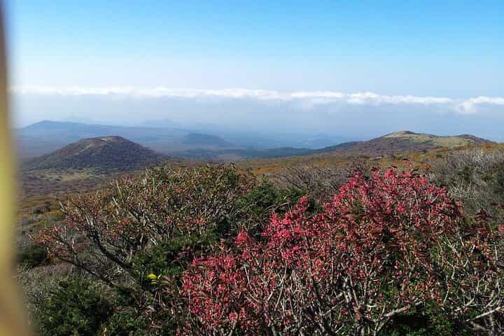jeju island Private Taxi Hallasan Hiking Trail Transfer - One way