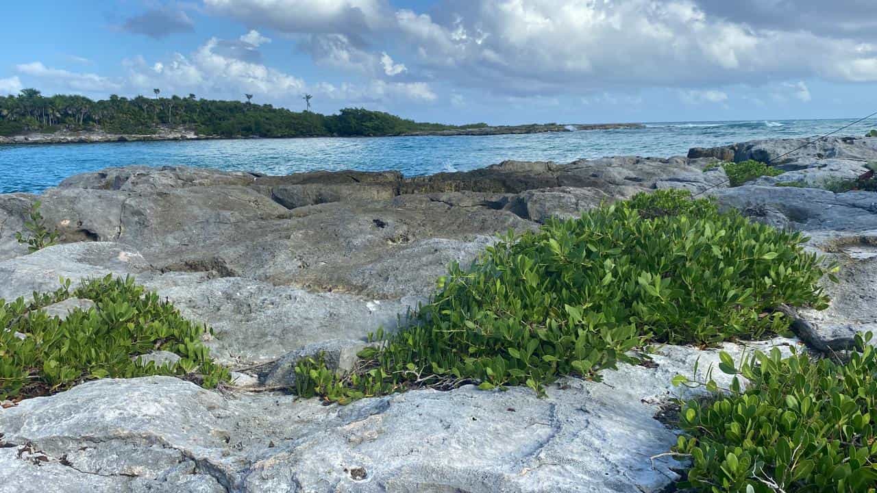 Snorkeling privado en las aguas cristalinas de La Laguna de Yalku Akumal