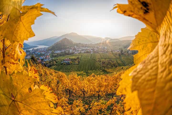 Vienna: Wachau Wonders & Magical Hallstatt Small-Group Day Trip