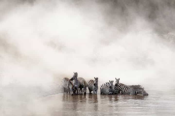 7-Day Group to Maasai Mara, Lake Naivasha, Amboseli from Nairobi